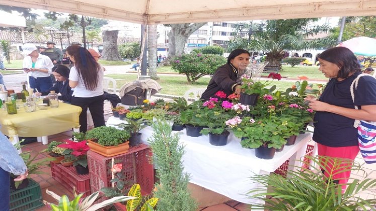 Emprendimientos con sello ambiental durante la Navidad.