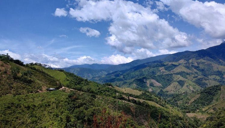 Los habitantes del Catatumbo reclaman una verdadera Reforma Agraria para resolver problemas estructurales. /Foto: Cortesía.