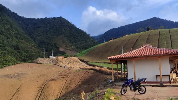 Serán ocho variedades de cebolla las que estarán bajo análisis climático y comercial. / Foto: Archivo / La Opinión