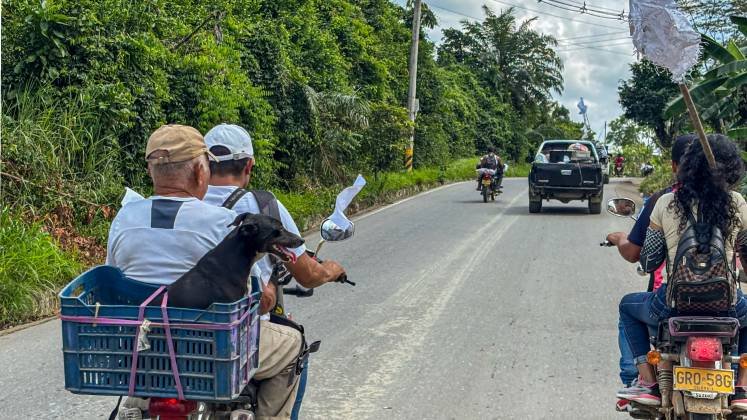 Desplazamiento masivo en el Catatumbo./Foto cortesía