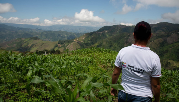 137 firmantes de paz han sido impactado por el conflicto en Norte de Santander.