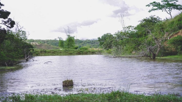 La Unidad Técnica Ambiental impulsa el catastro de los espejos de agua en Ocaña para la conservación.