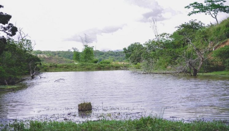 La Unidad Técnica Ambiental impulsa el catastro de los espejos de agua en Ocaña para la conservación.