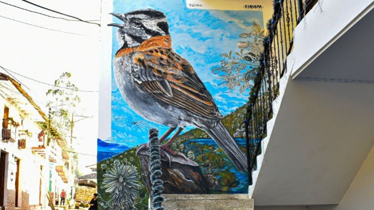 La aviflora de Silos quedó plasmada en un inmenso mural en donde sobresale el nativo pajarito copetón o gorrión./ Foto: Xxxxxx