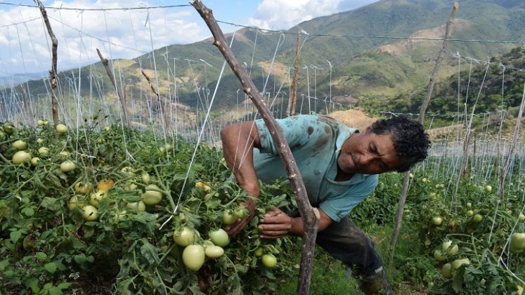  Los equipos de la Planta Procesadora de Tomates y Frutas se oxidan en una bodega del centro de Acopio de Ocaña.