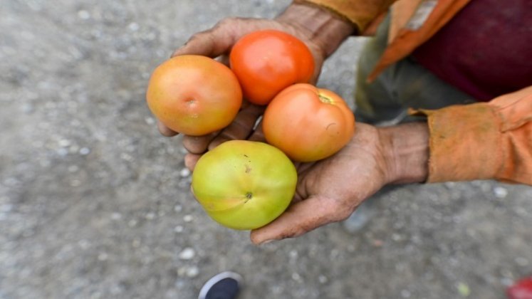 Los equipos de la Planta Procesadora de Tomates y Frutas se oxidan en una bodega del centro de Acopio de Ocaña.