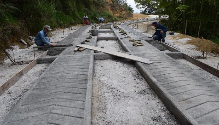 En aras de mejorar la movilidad y estimular el turismo ecológico se construye la ruta del café.