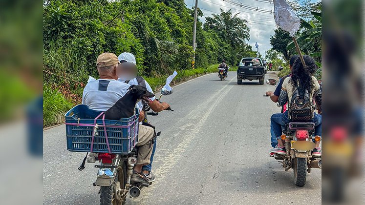 desplazados-catatumbo