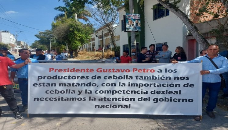 Los cebolleros de la provincia de Ocaña y zona del Catatumbo reclaman salvaguardar el producto en tiempo de cosecha.