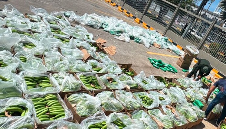 Cocaina en Bananos