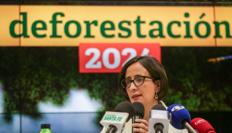 Ministra reconoció que la cifra de 2024 no es una buena. /Foto: Colprensa