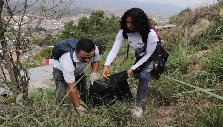 El Instituto Departamental de Salud declara la lucha frontal en contra del mosquito transmisor del dengue.