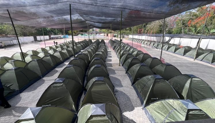 Las mascotas sobrevivientes de la guerra tienen un lugar especial en el alojamiento temporal de la plaza de ferias de Ocaña.