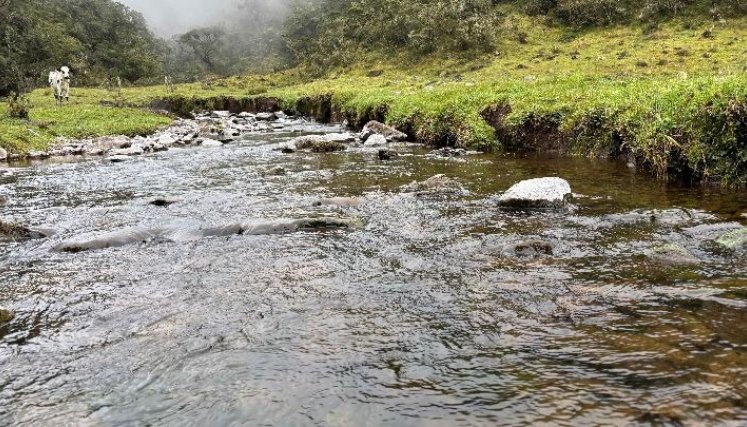 La represa del río Zulia tiene unas 45.000 hectáreas de extensión. / Foto: Cortesía