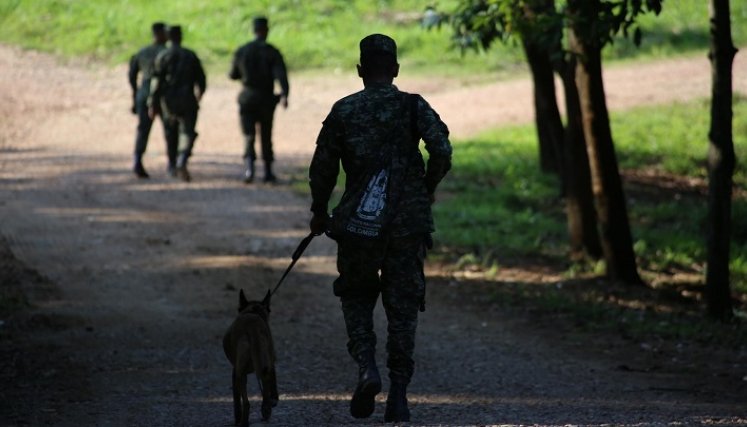 Tres vehículos y varias armas largas fueron incautados por el Ejército y la Policía en la vereda Campo Yuca.