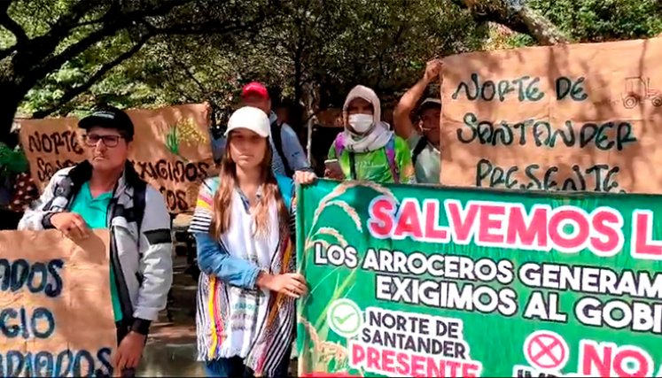 Arroceros de Norte de Santander. / Foto Cortesía