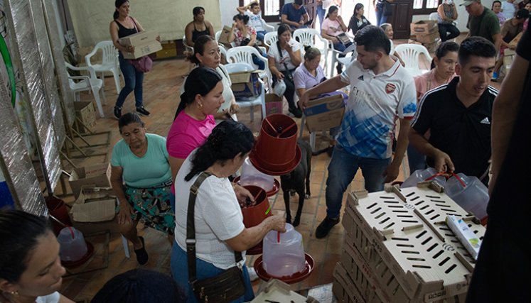 Entregan pollos. / Foro Cortesía