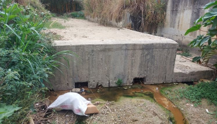 Habitantes del sur de la ciudad reclaman programas de saneamiento básico ambiental.