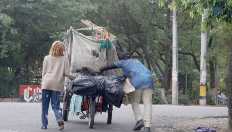 Animales de compañía de habitantes de calle 