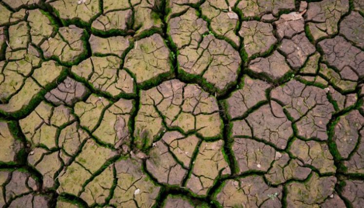 CAMBIO CLIMATICO