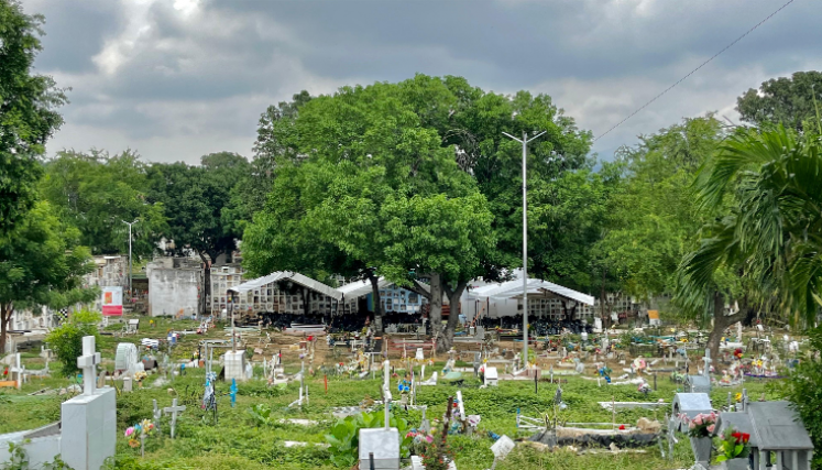 En el cementerio de Cúcuta se reanudó búsqueda de víctimas de desaparición forzada.