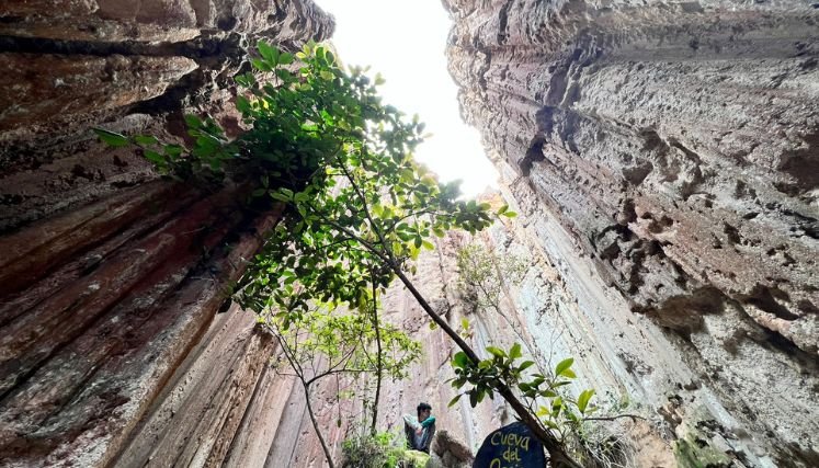 Planes conjuntos para fortalecer el ecoturismo suscribe la administración municipal de Ocaña con Parques Naturales.