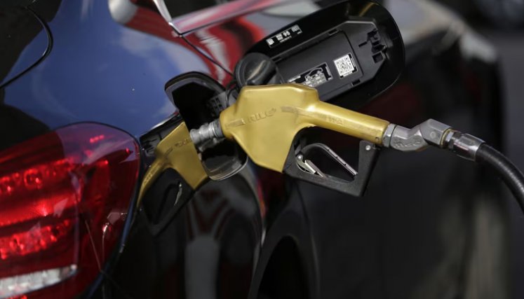 Precio del combustible