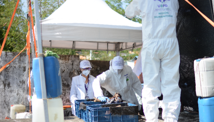 Unidad de Búsqueda avanza en la intervención númer 17 al Cementerio de Cúcuta.