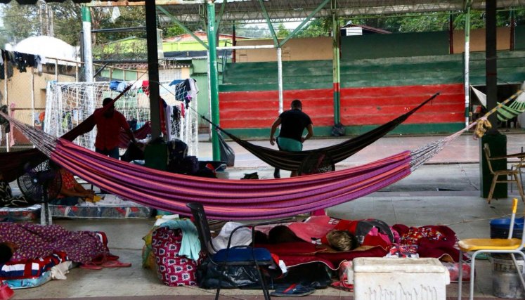 Familias desplazadas y animales abandonados deja la guerra en Orú 7, Tibú