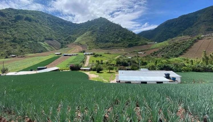 En la zona del Catatumbo el conflicto armado está latente y organismos defensores de derechos humanos reclaman acciones concretas.