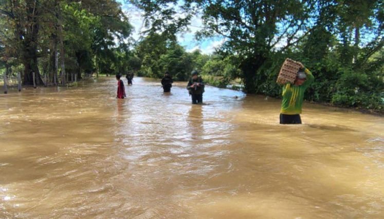 Crecientes de los ríos ocasionan inundaciones en la zona del Catatumbo.