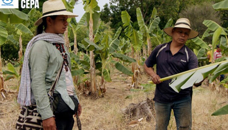 Documental-campesinos