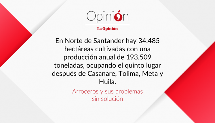 Arroceros y sus problemas sin solución