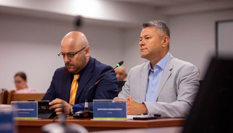 David Herley Guzmán Ramírez