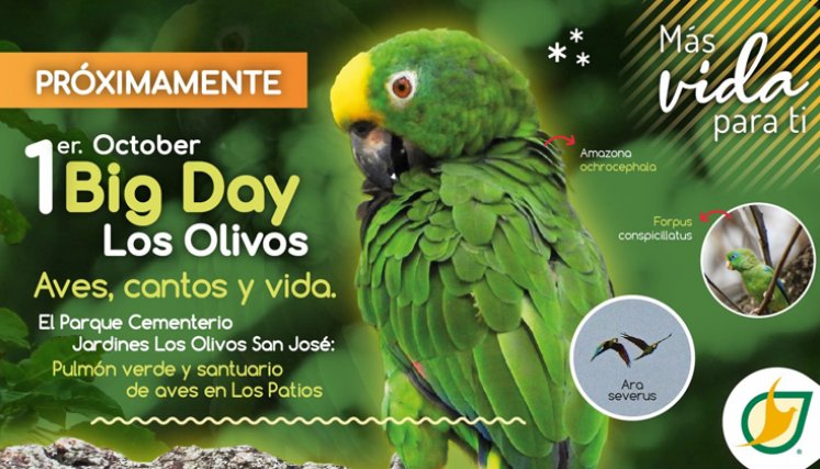 Parque Cementerio Jardines Los Olivos San José: pulmón verde y santuario de aves en Los Patios