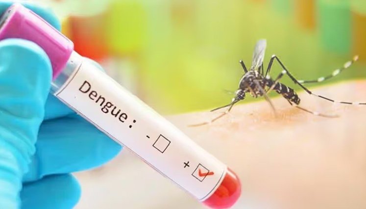 dengue