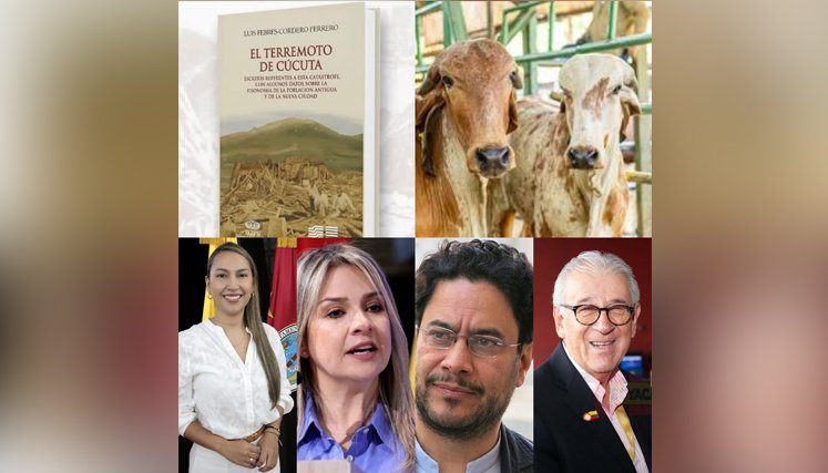 INDICADORES. 