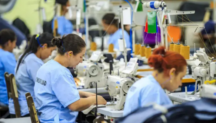 insumos textiles