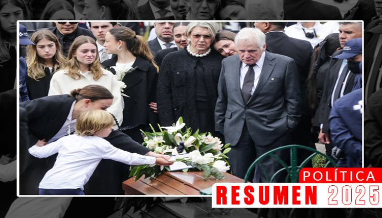 Resumen política 2025