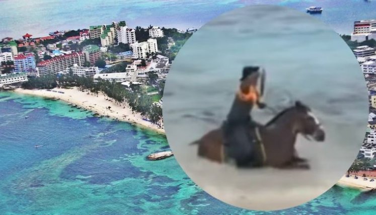 CABALLO MAR 
