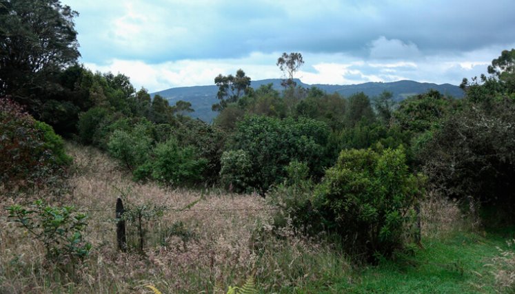 Páramo La Calera