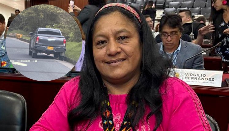SENADORA 
