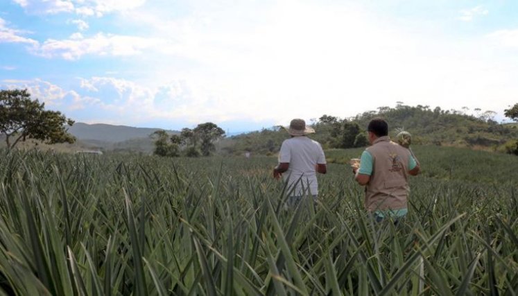 IGAC COLOMBIA 
