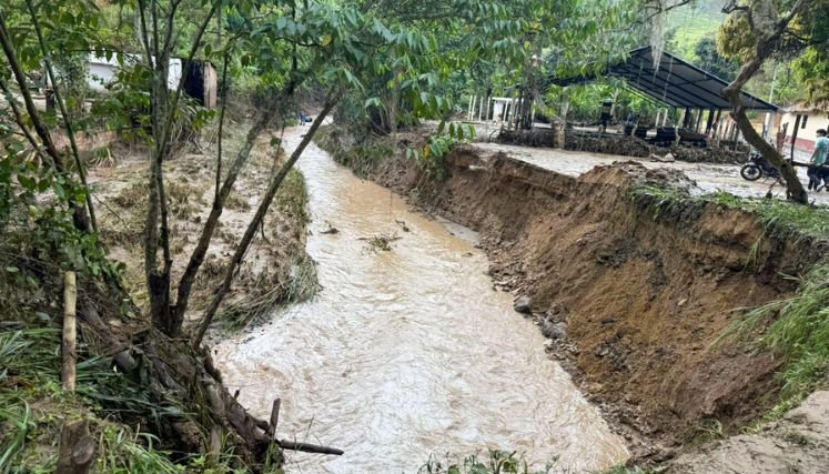 Autoridades ambientales adelantan un estudio sobre las causas de la avalancha del río Tejo.