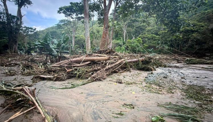 Autoridades ambientales adelantan un estudio sobre las causas de la avalancha del río Tejo.