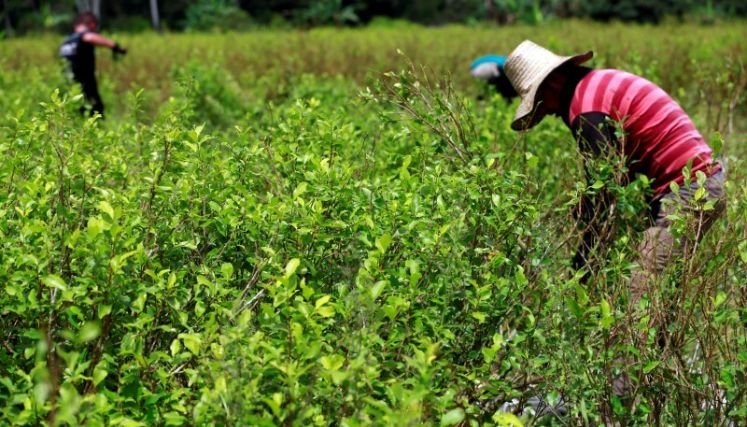 El consejero de paz del departamento propone diálogos regionales para apaciguar los ánimos en el Catatumbo.   