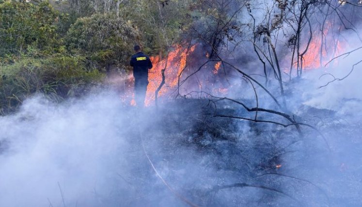 INCENDIOS EN NORTE DE SANTANDER 