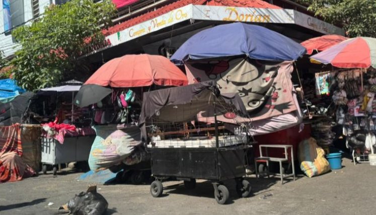 Invasión al espacio en Alejandría.