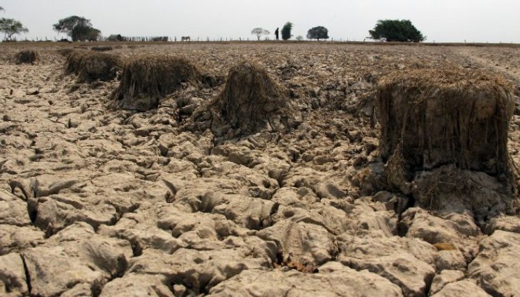 Las altas temperaturas que se producirán en un eventual fenómeno de El Niño causará el secamiento del suelo y los bosques/Foto Archivo