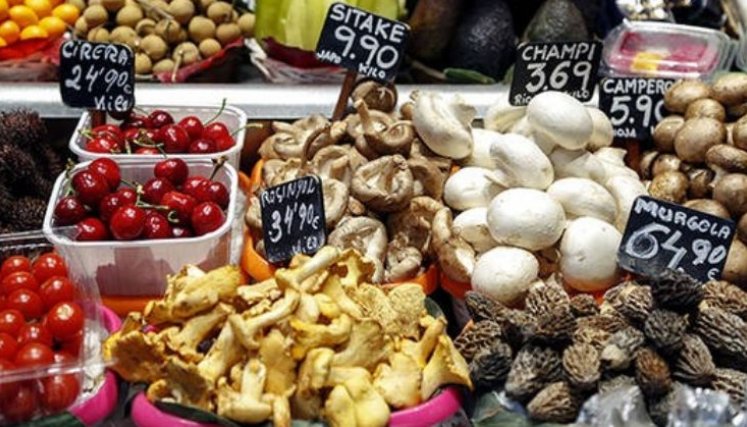 EXPORTACION DE ALIMENTOS 